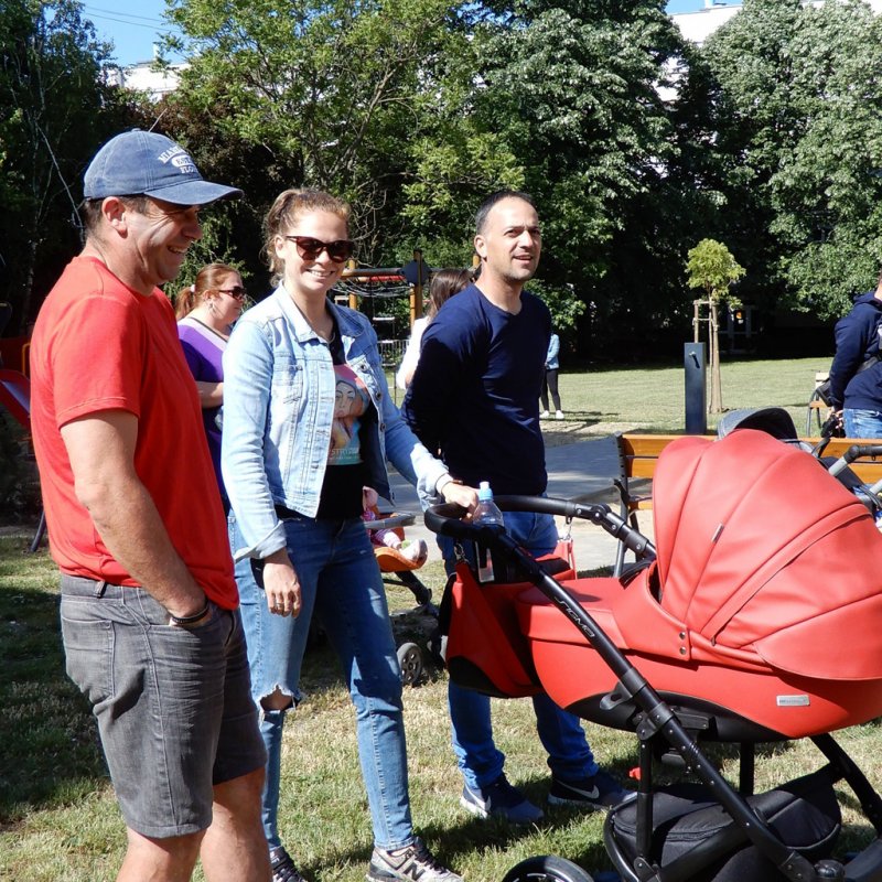 Életfa ültetés a város napján 13